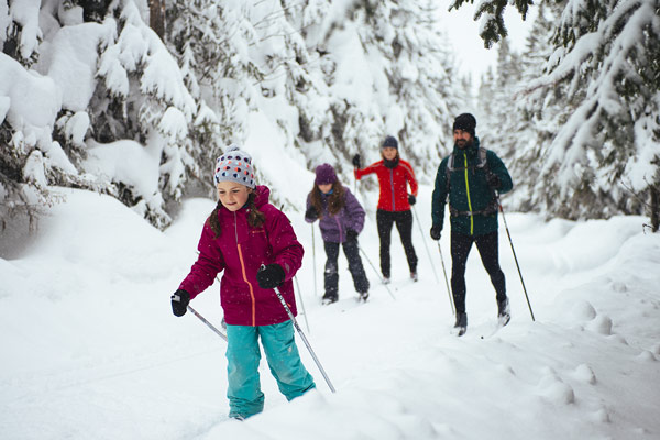 Réserve faunique des Laurentides